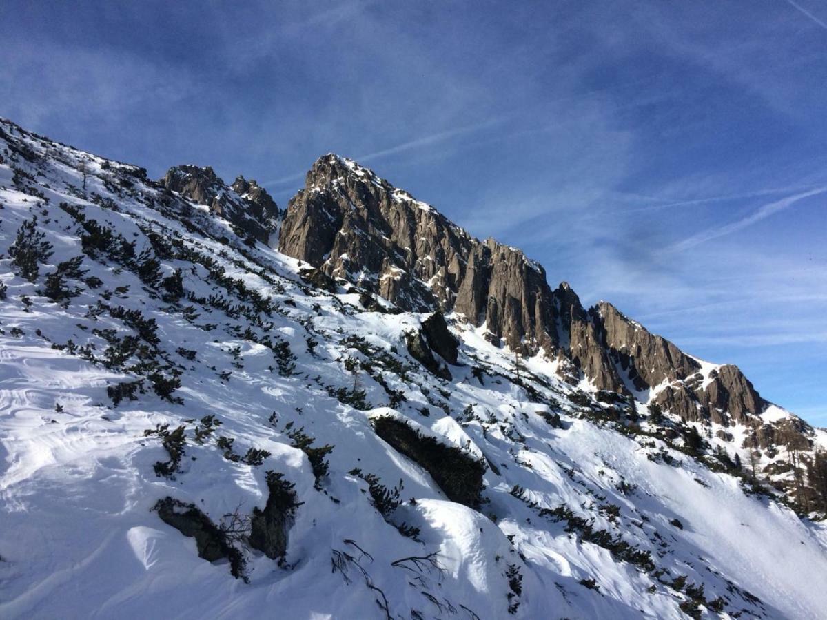La Finestra Sulle Dolomiti - The Window To The Dolomites Apartment เฟียรา ดี พรีเมียโร ภายนอก รูปภาพ